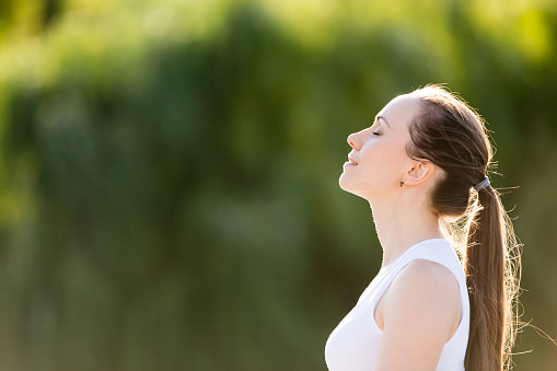 istockphoto-636069988-170667a.jpg?width=509&height=339
